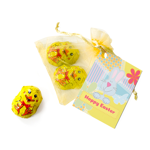 Organza Bag- Chirpy Chicks