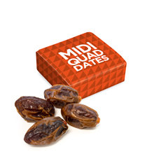 Midi Quad - Dates